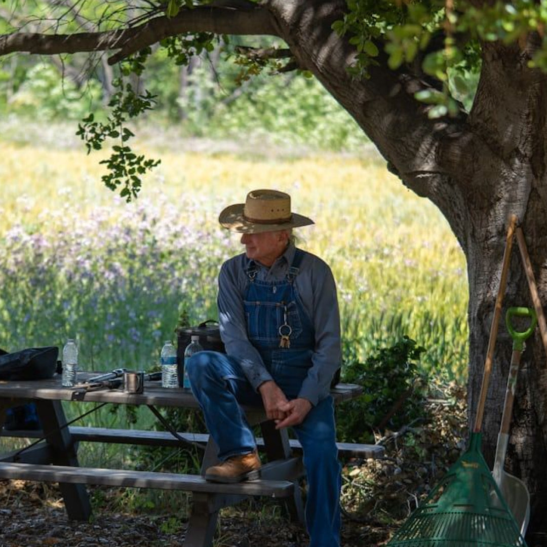 5 underrated longevity practices everyone should be doing