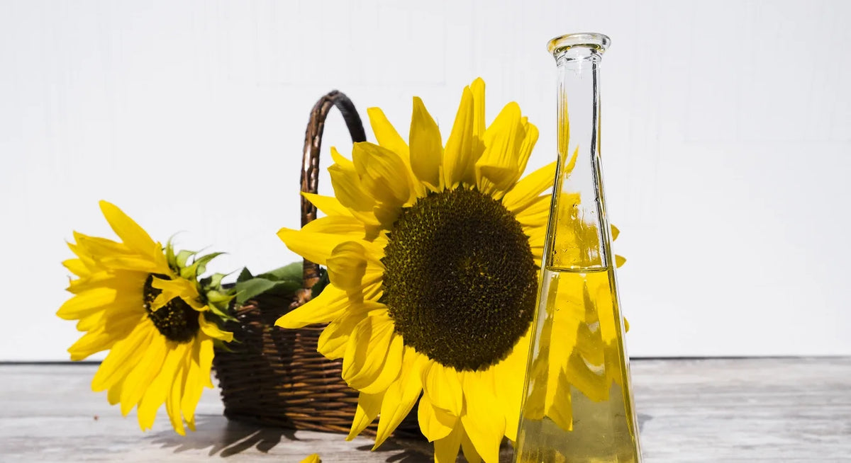 Are Seed Oils Bad? Everything You Need To Know
