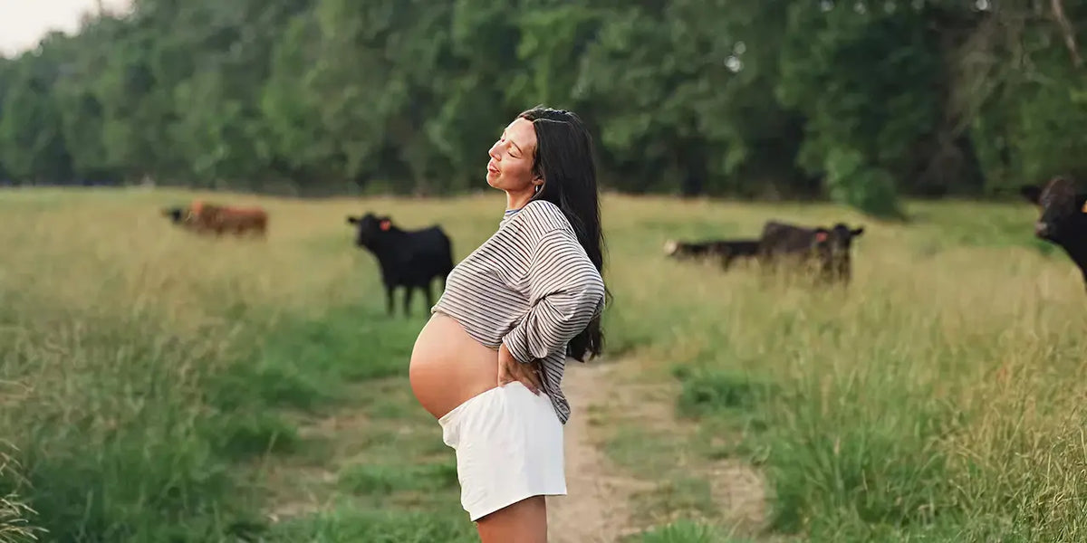 Do Beef Organs Help with Fertility? An Ancestral Guide