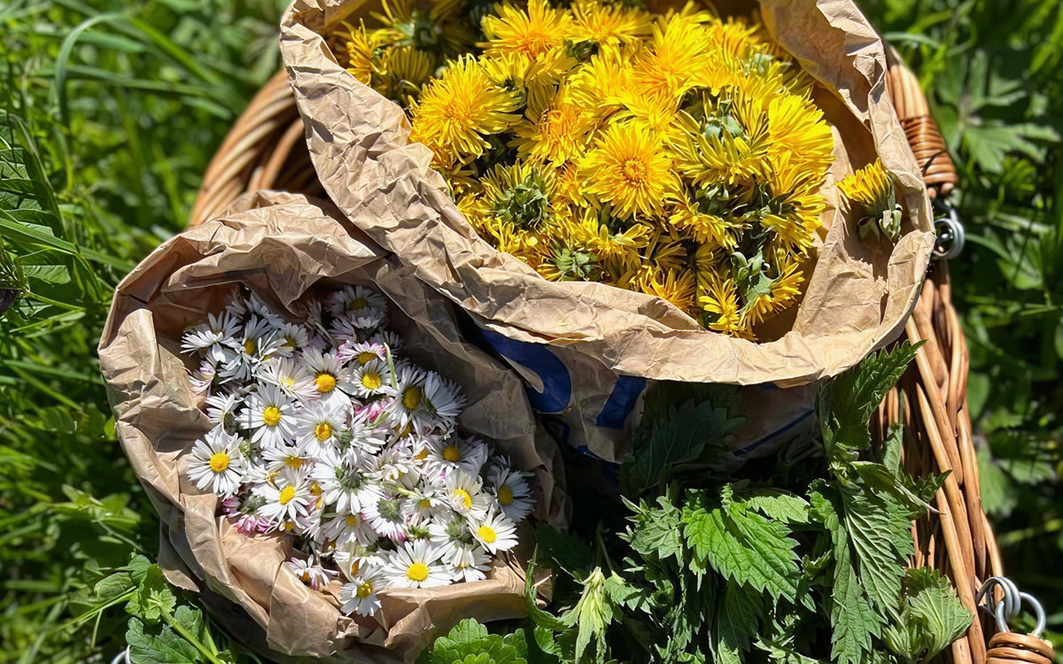 How to prevent hay fever this year (Plus: what’s in season in March)