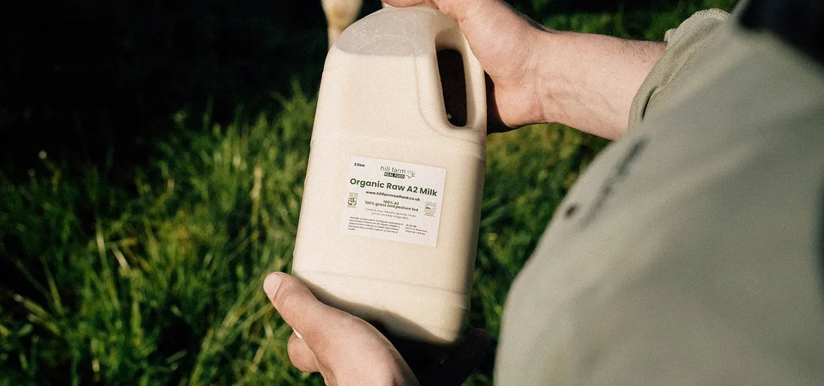 Raw Milk Benefits: Enzymes, Probiotics, Digestion and Nutrition