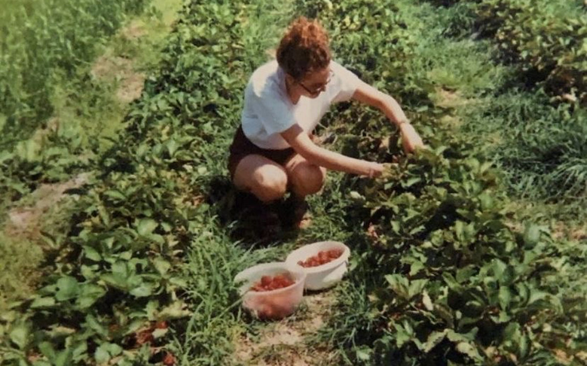 How to reclaim your food sovereignty