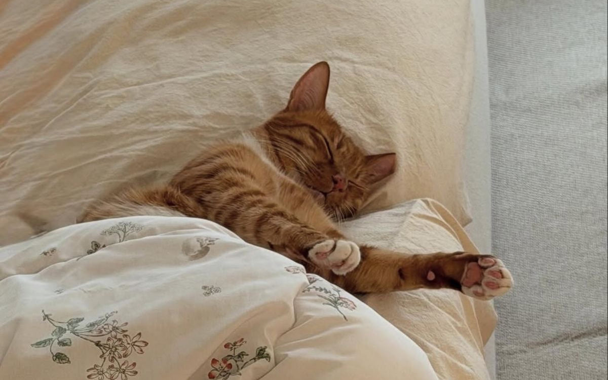 Your ultimate sleep guide