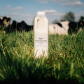 Raw Organic A2 Grass Fed milk, 1 litre bottle